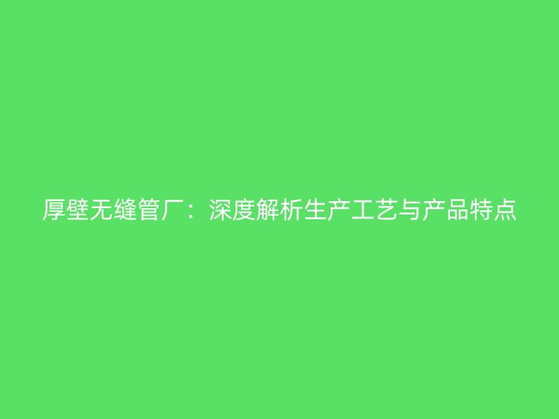 厚壁無縫管廠：深度解析生產工藝與產品特點
