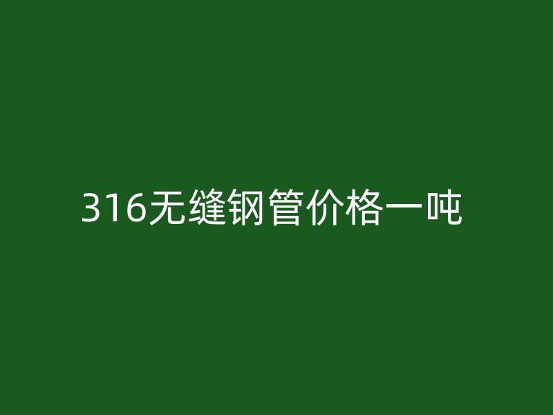 316無(wú)縫鋼管價(jià)格一噸 
